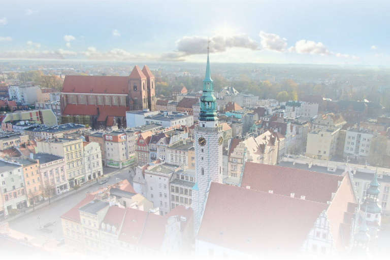 Panorama miasta Brzeg